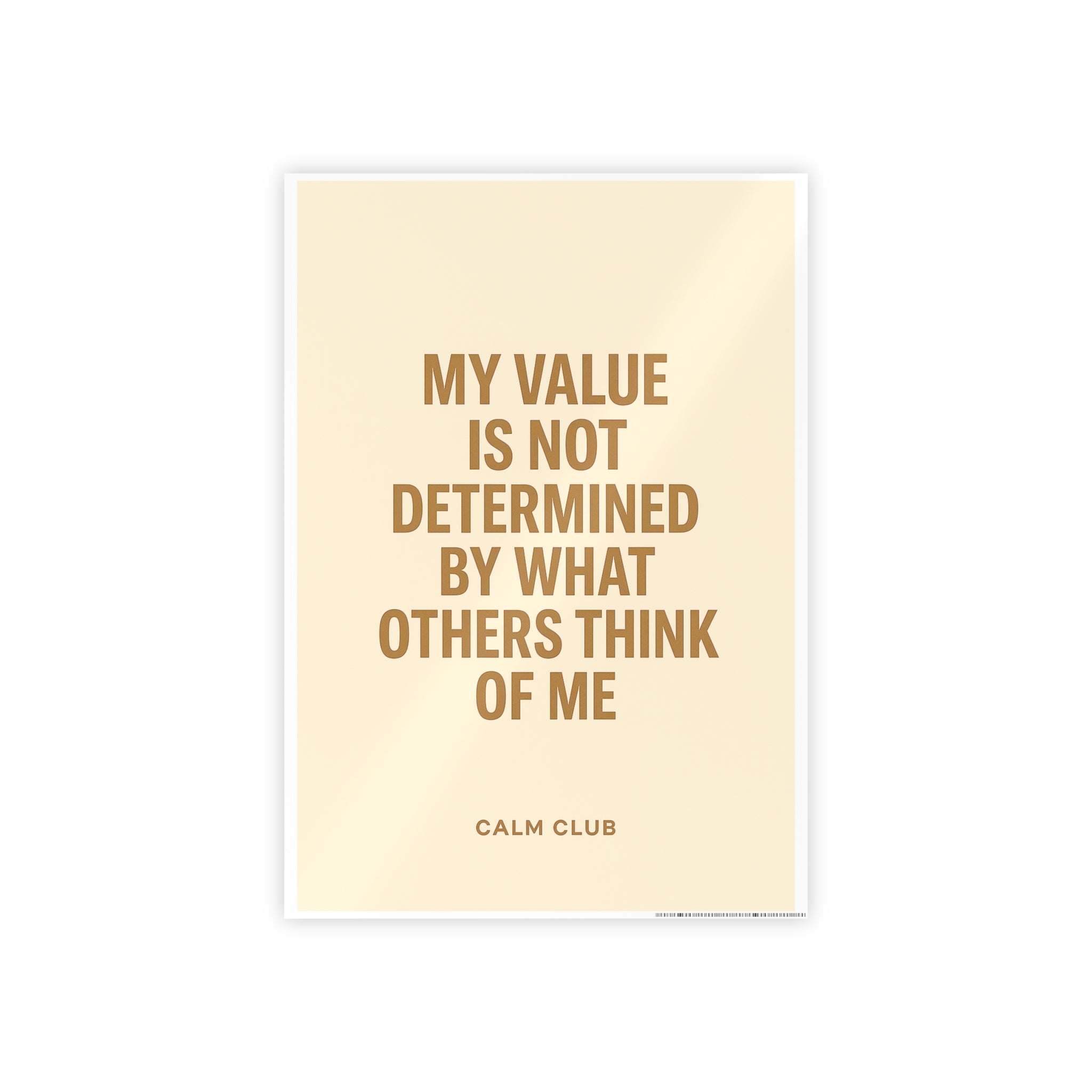 My Value is Not Determined by Others