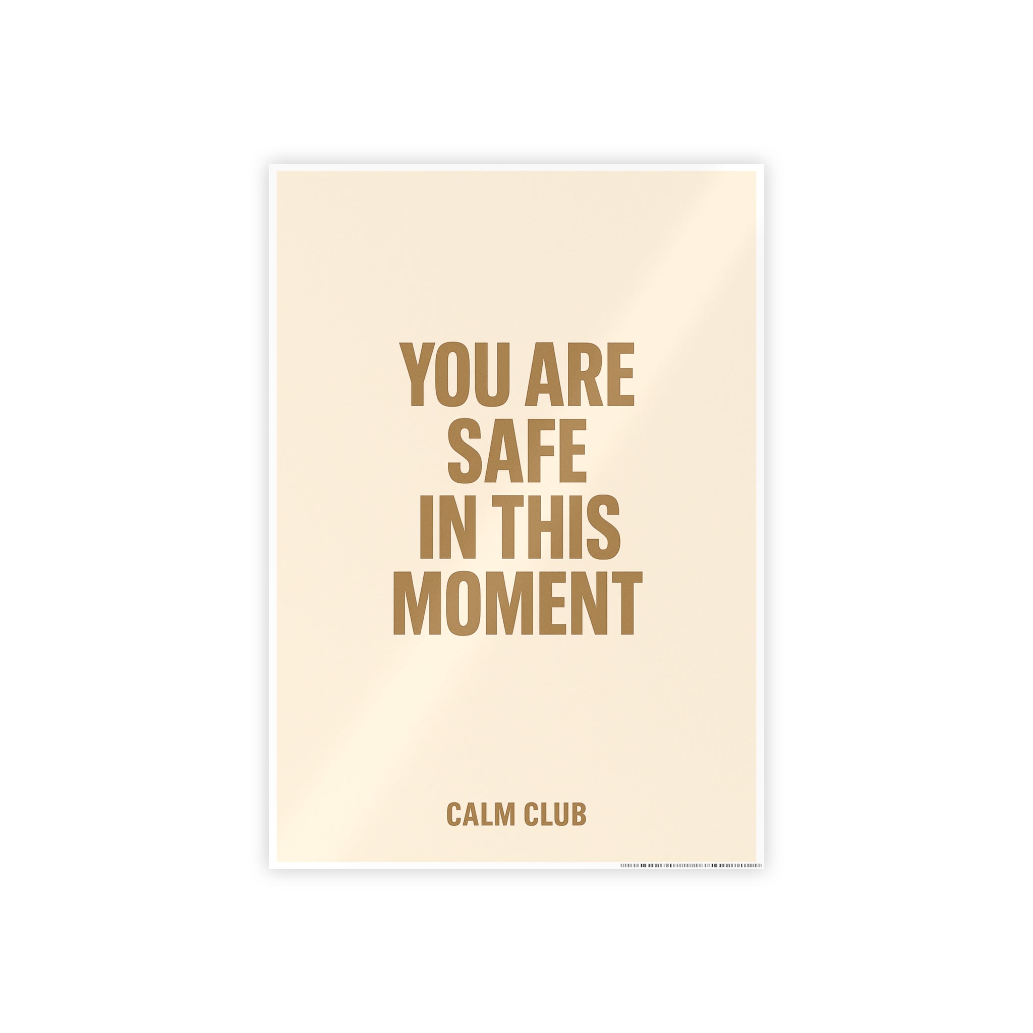 You Are Safe in This Moment