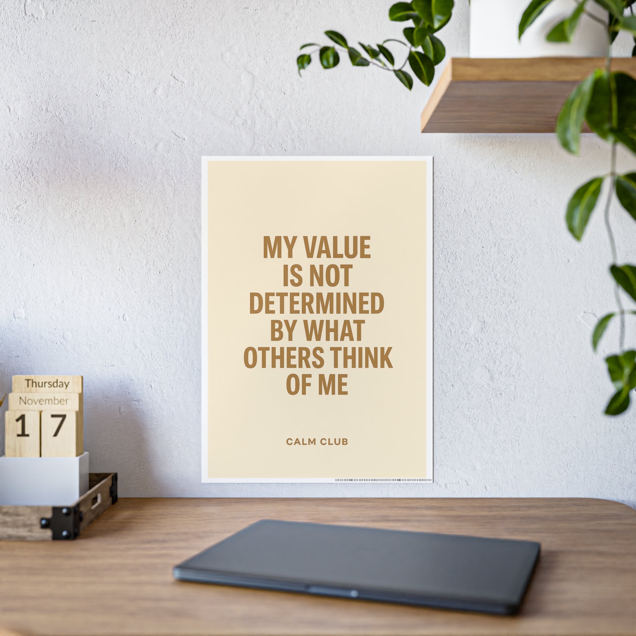 My Value is Not Determined by Others